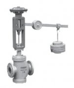 ֱ�����É����{���y