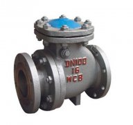 ����ֹ���y