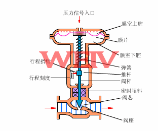 ����{���yԭ��